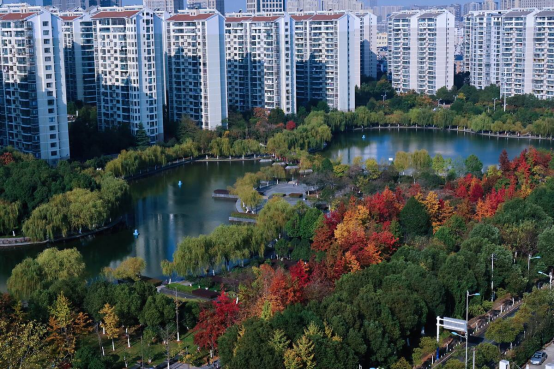 1645759009802664.png 圖片.png